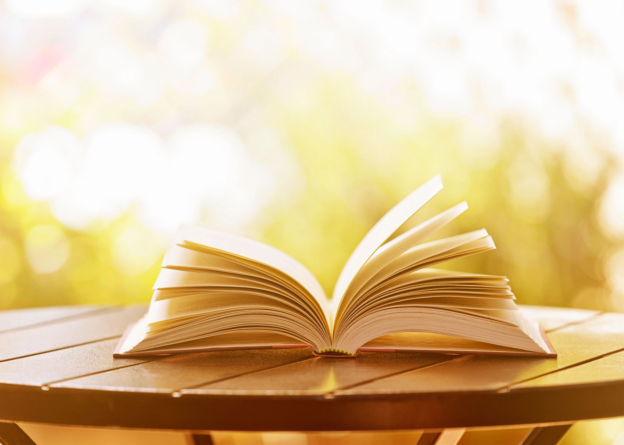 Libro abierto con luz natural